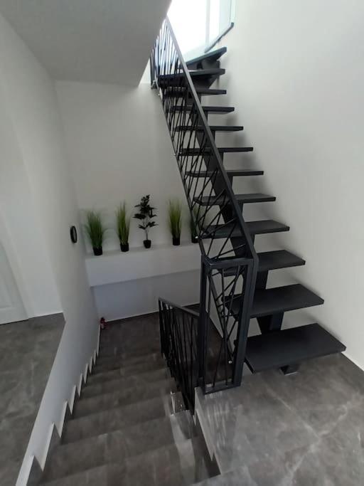 Old Town Studio 1 Apartment Nr 1 Baia Mare Luaran gambar