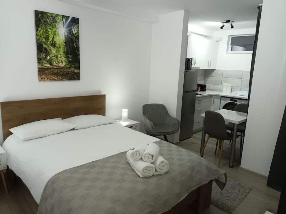 Old Town Studio 1 Apartment Nr 1 Baia Mare Luaran gambar