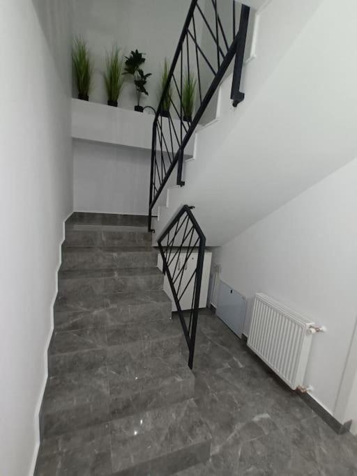 Old Town Studio 1 Apartment Nr 1 Baia Mare Luaran gambar