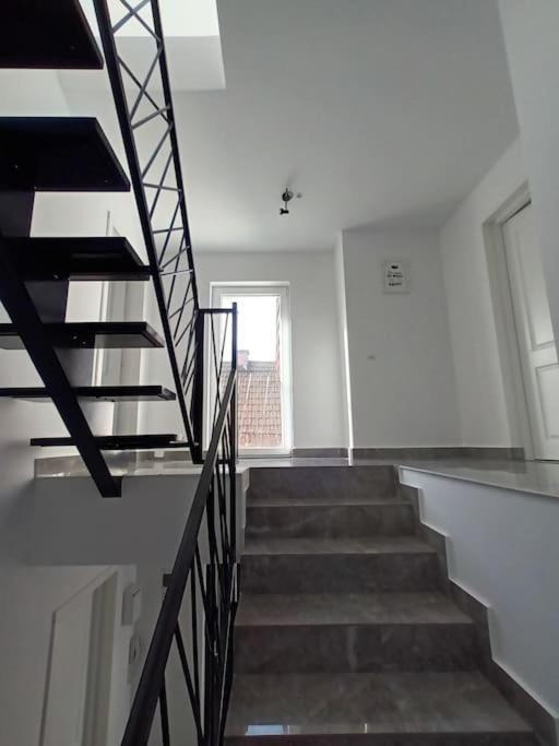 Old Town Studio 1 Apartment Nr 1 Baia Mare Luaran gambar