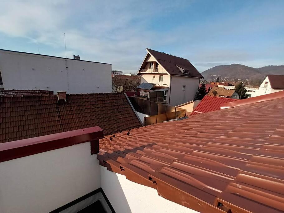 Old Town Studio 1 Apartment Nr 1 Baia Mare Luaran gambar