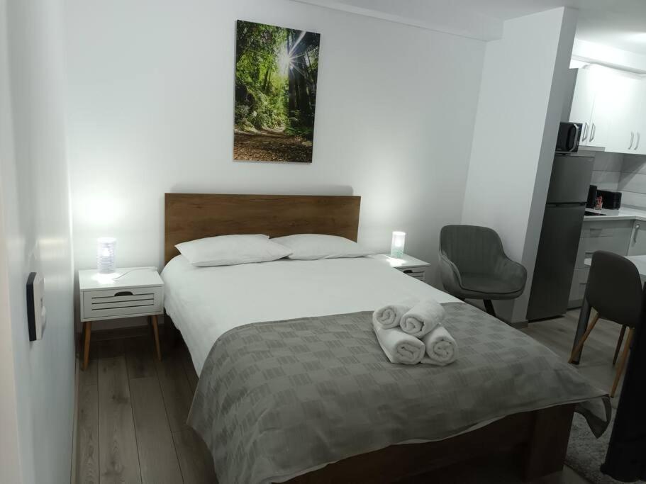 Old Town Studio 1 Apartment Nr 1 Baia Mare Luaran gambar