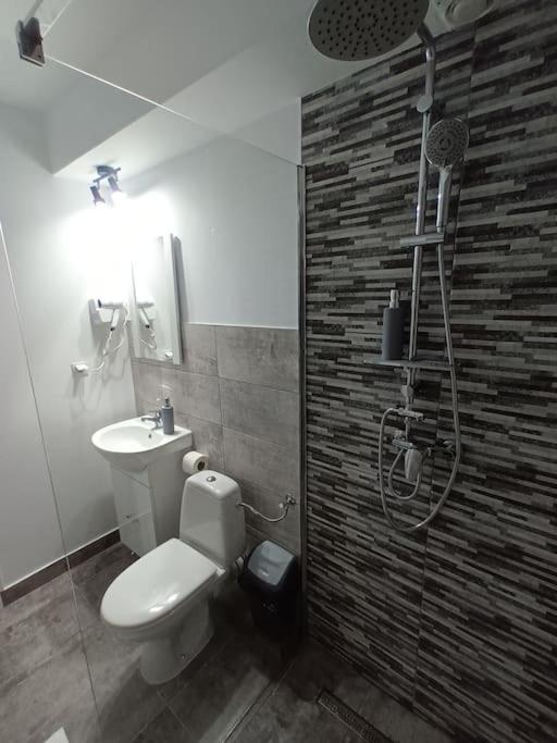 Old Town Studio 1 Apartment Nr 1 Baia Mare Luaran gambar