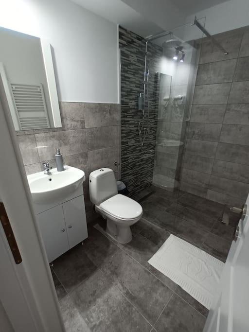Old Town Studio 1 Apartment Nr 1 Baia Mare Luaran gambar