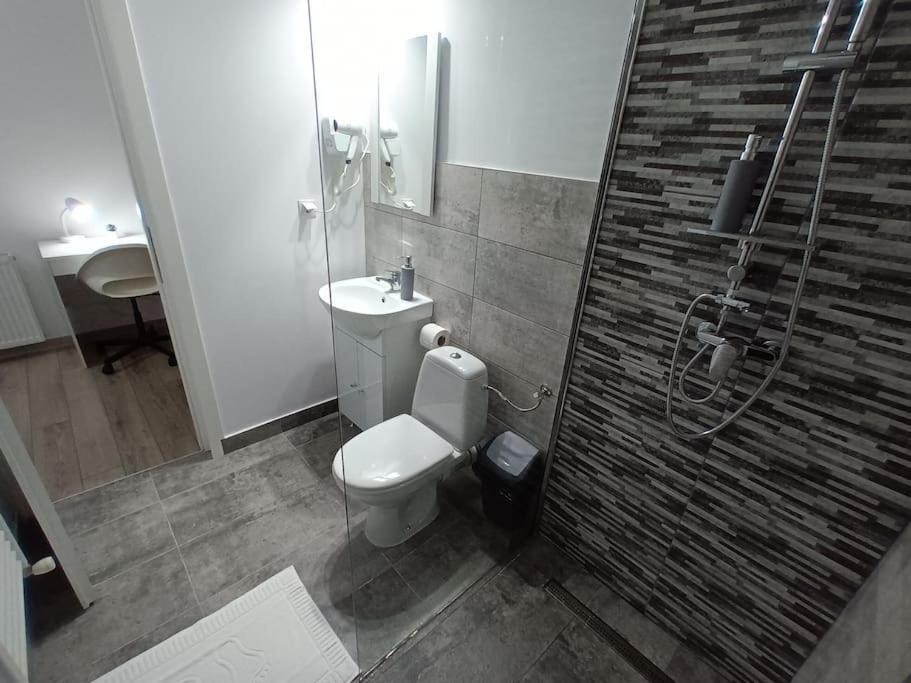 Old Town Studio 1 Apartment Nr 1 Baia Mare Luaran gambar